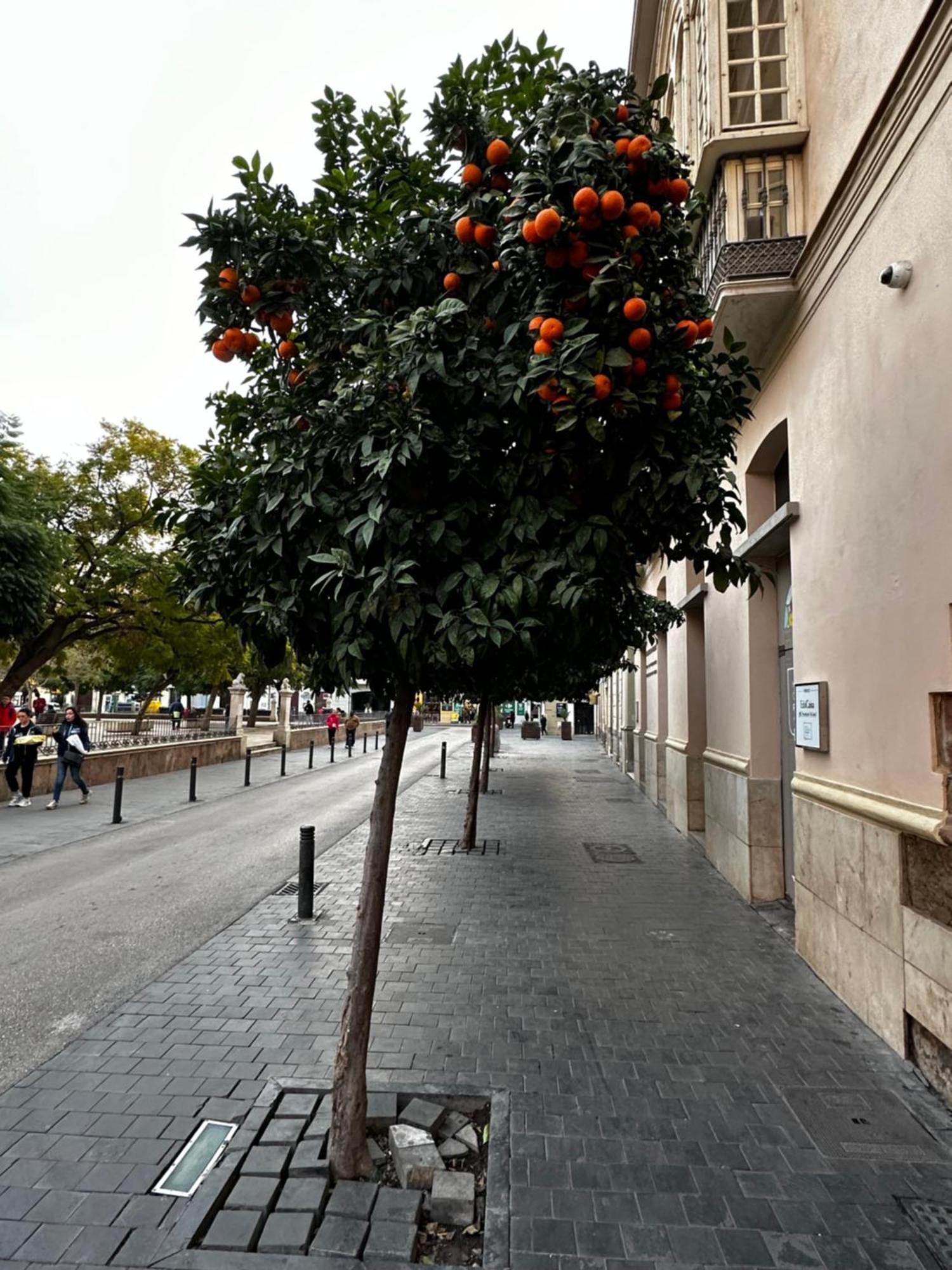 Malaga'S Secret Apartment Exterior photo